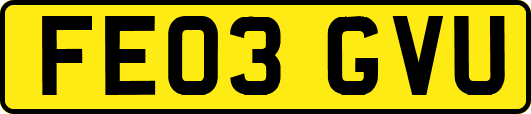 FE03GVU