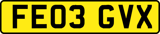 FE03GVX
