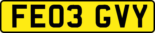 FE03GVY