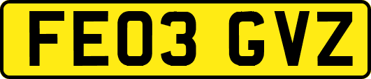FE03GVZ