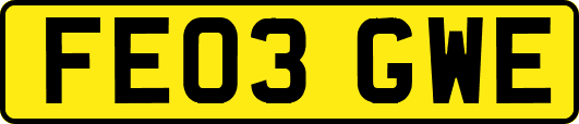 FE03GWE