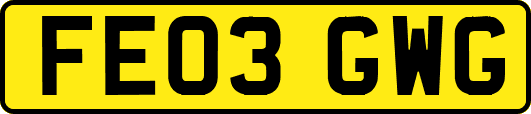 FE03GWG