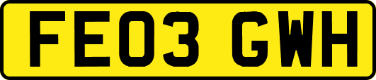 FE03GWH