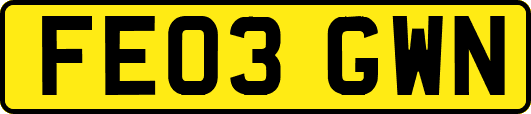 FE03GWN