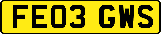 FE03GWS