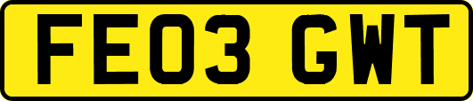 FE03GWT