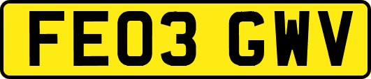 FE03GWV
