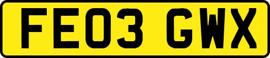 FE03GWX