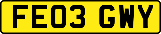 FE03GWY