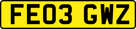 FE03GWZ