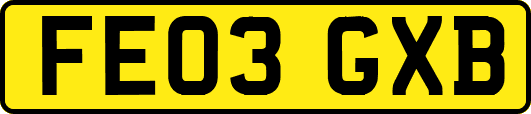 FE03GXB
