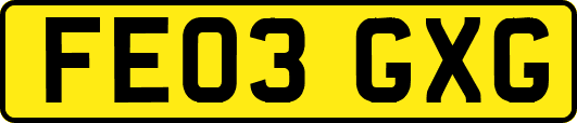 FE03GXG