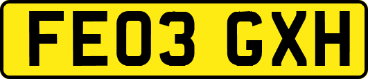 FE03GXH