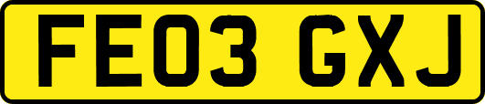 FE03GXJ