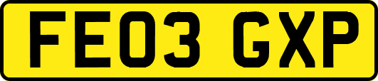 FE03GXP
