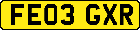 FE03GXR
