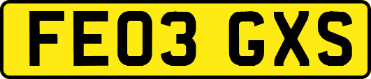 FE03GXS