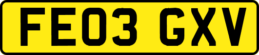FE03GXV