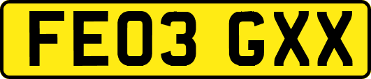 FE03GXX