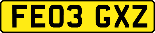 FE03GXZ