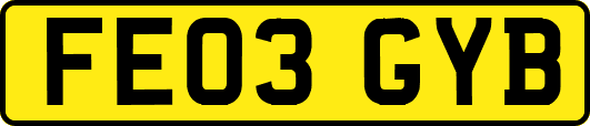 FE03GYB
