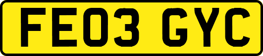 FE03GYC