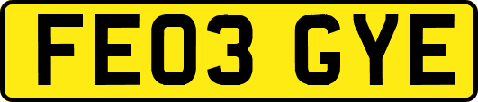 FE03GYE