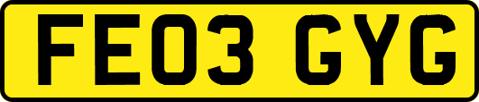 FE03GYG