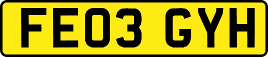FE03GYH