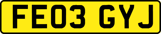 FE03GYJ
