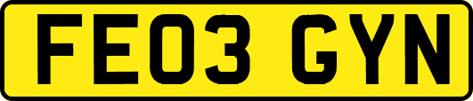 FE03GYN