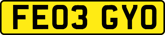 FE03GYO