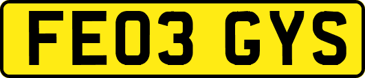 FE03GYS