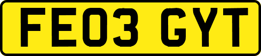 FE03GYT