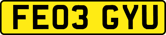 FE03GYU