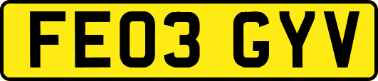 FE03GYV