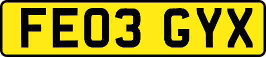 FE03GYX