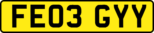 FE03GYY