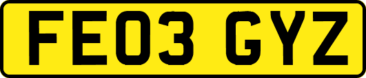FE03GYZ