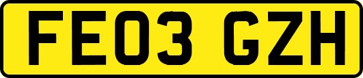 FE03GZH