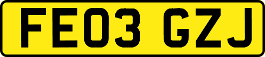 FE03GZJ