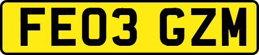 FE03GZM