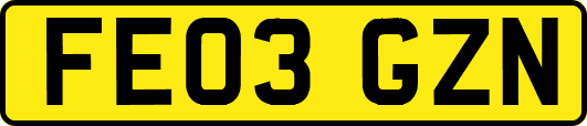 FE03GZN