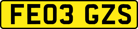 FE03GZS