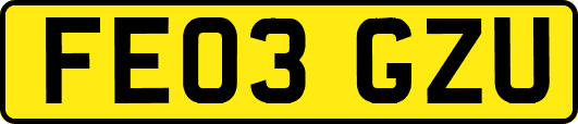 FE03GZU