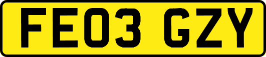 FE03GZY