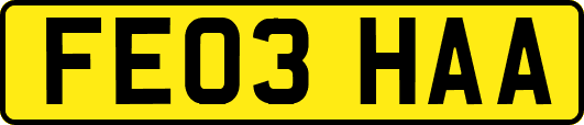 FE03HAA