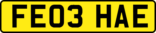 FE03HAE