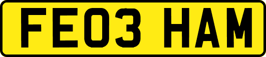FE03HAM