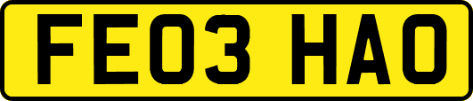 FE03HAO